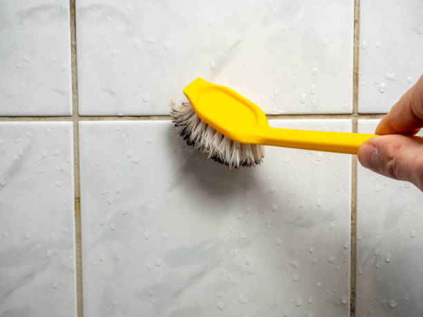 Best Mold Remediation Services  in Shady Cove, OR