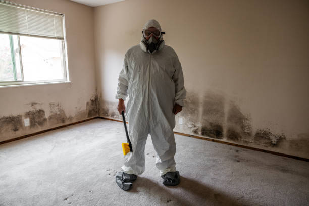 Crawl Space Mold Removal in Shady Cove, OR